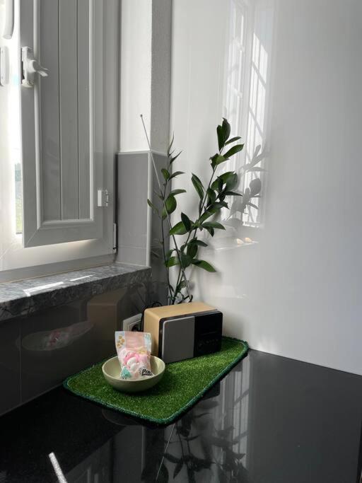 Casa Da Celeste Maljoga de Proenca Ngoại thất bức ảnh