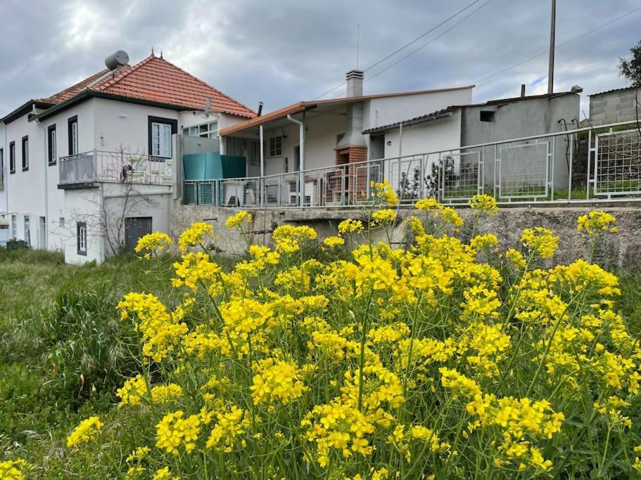 Casa Da Celeste Maljoga de Proenca Ngoại thất bức ảnh