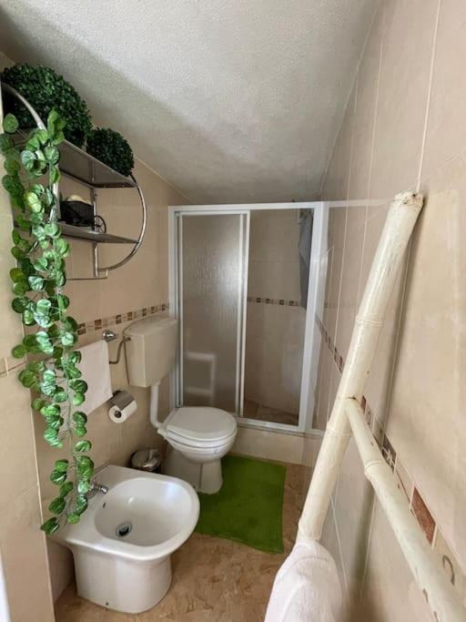 Casa Da Celeste Maljoga de Proenca Ngoại thất bức ảnh